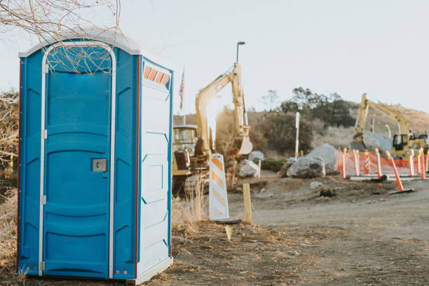 Best High-end porta potty rental  in La Nte, MO